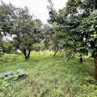 باغ ۸۰۰متری زیر قیمت/فرصت طلایی برای سرمایه‌گذاری