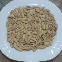 تخم کدو خام امساله