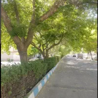 اپارتمان مجتمع پامچال طبقه۳