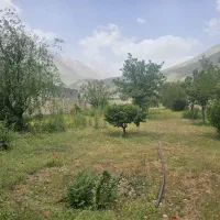 زمین-ظلم-آباد-نجوبران