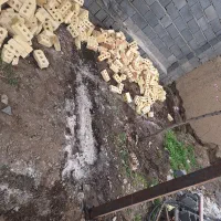 خط دائمی چناران
