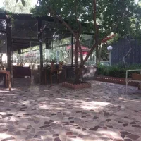 نیازمند نیرو در باغ رستوران