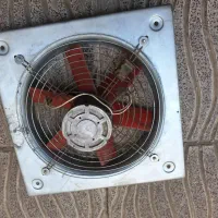 فن شیش پره