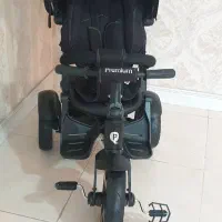 سه چرخه فلامینگو
