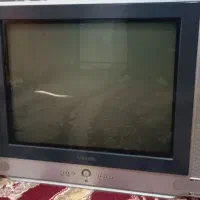 تلویزیون