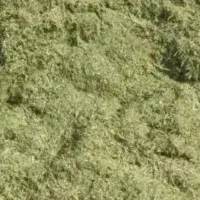 علوفه