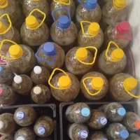 خیارشور تردوخشمزه سفارش میگیرم