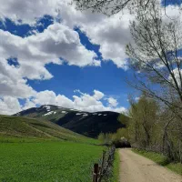 نوساز خلخال سازه بتنی