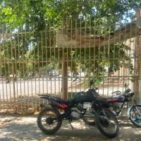 تریل