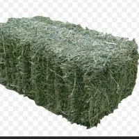 یونجه ۱۴۵ بسته