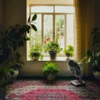 ۲۴۰متر زمین/بر ده در ۲۴/بانک رهنی