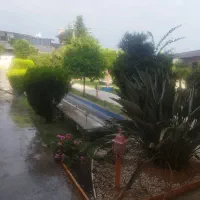 استخدام  نیروی کار