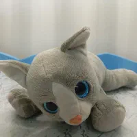 عروسک گربه ناز نو نو