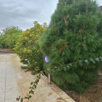 فروش باغ ویلایی