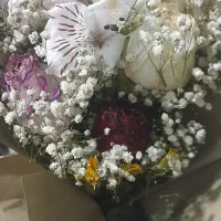 گل طبیعی|گل و گیاه طبیعی|قم, باغ شریفی|دیوار