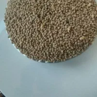 عدس|خوردنی و آشامیدنی|نورآباد, |دیوار