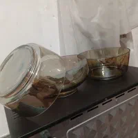 میوه خوری