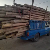 خرید وبرش چوب