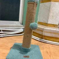 اسکچر گربه