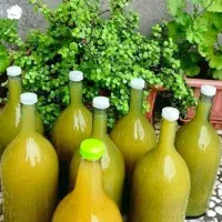 فروش آبغوره خانگی طبیعی