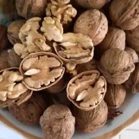 گردو ارگانیک و ایرانی