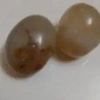 مهره