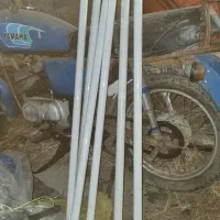 چندعددمهتابی باقابش