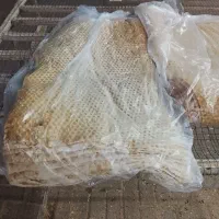 پخش نان نیما