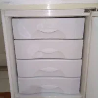 یخچال فریزر اسنوا