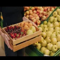 خرید و فروش میوه های تابستانی و پاییزی