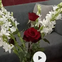 بوته گل مریم