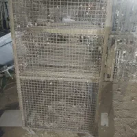 جفتگا|لوازم جانبی حیوانات|کرمان, |دیوار