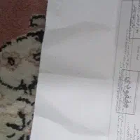 کیف گمشده