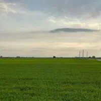 زمین کشاورزی (پتانسیل بالا مسکونی شدن)