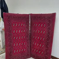 جفت پشتی و جفت رویه