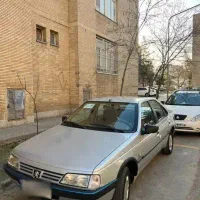 ۴۰۵ دوگانه کارخانه تمیز و خونگی