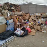 کارتن پت پلاستیک