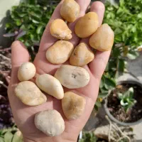 دُر حسینی و در نجف