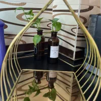 ظرف پذیرایی میوه