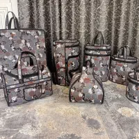 ساک مسافرتی،  فلاکسی، نظم دهنده