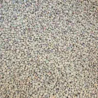 عدس تازه ودرجه یک خوش پخت ومعطر و زود پز