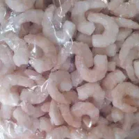 انواع میگو صیدجنوب