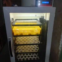 دستگاه جوجه کشی ققنوس ۲۱۰ تایی
