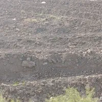 اجاره-زمین-کشاورزی