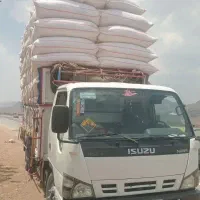 کاه دیم سفید