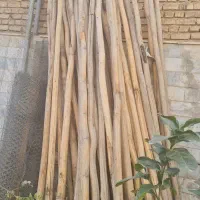 خرید چوب زسر سقفی ذغالی