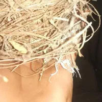 جوجه قناری باغی