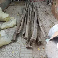 تیرچه چوبی