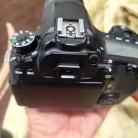 کنان ۷۰ دی|دوربین عکاسی و فیلم‌برداری|قشم, |دیوار