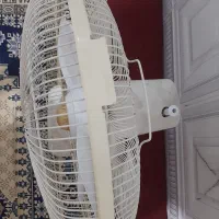 پنکه زمینی سانی
